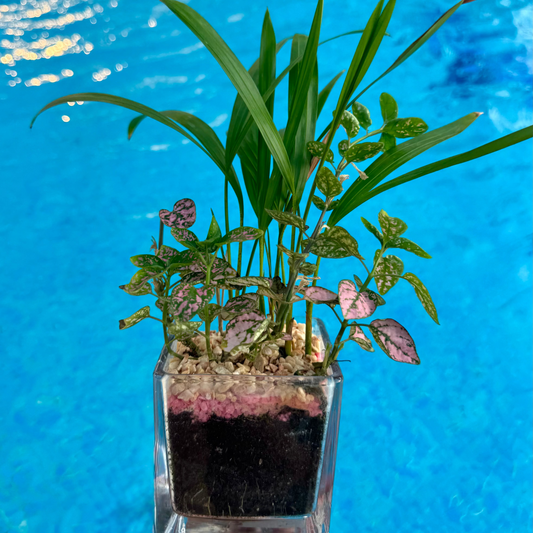 Jardín primaveral